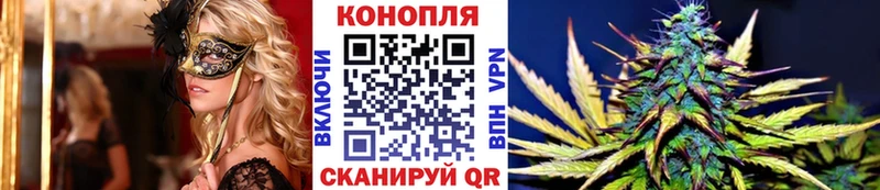 Бошки марихуана планчик Невинномысск
